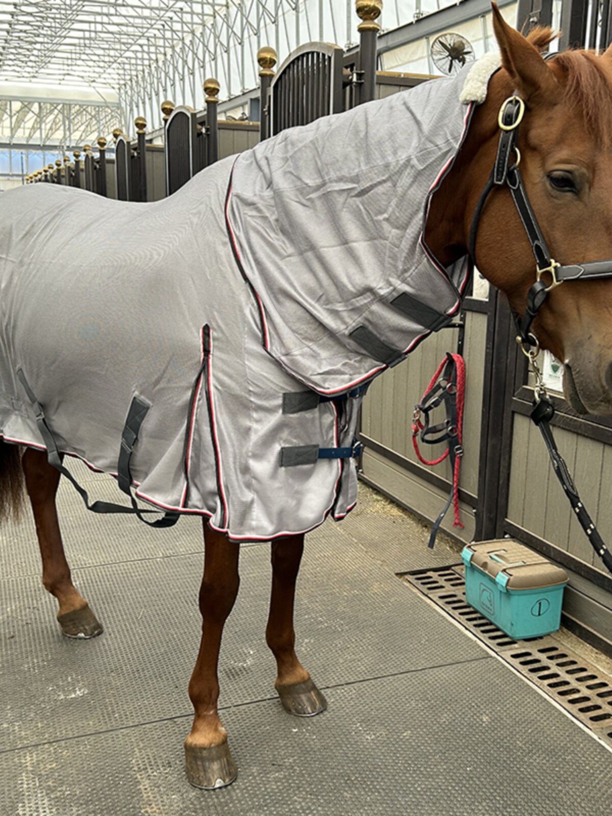 Сетчатая одежда для лошадей EPONA с нагрудником летняя антимоскитная дышащая удобная одежда для лошадей принадлежности для конного спорта Изображение 1