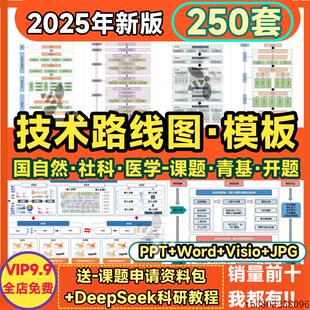 技术路线图模板国自然Word生物医学PPT可编辑visio版框架图流程图