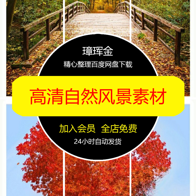 合成JPG打印喷绘秋季深秋高清图片道路红叶自然风景秋天素材kz17