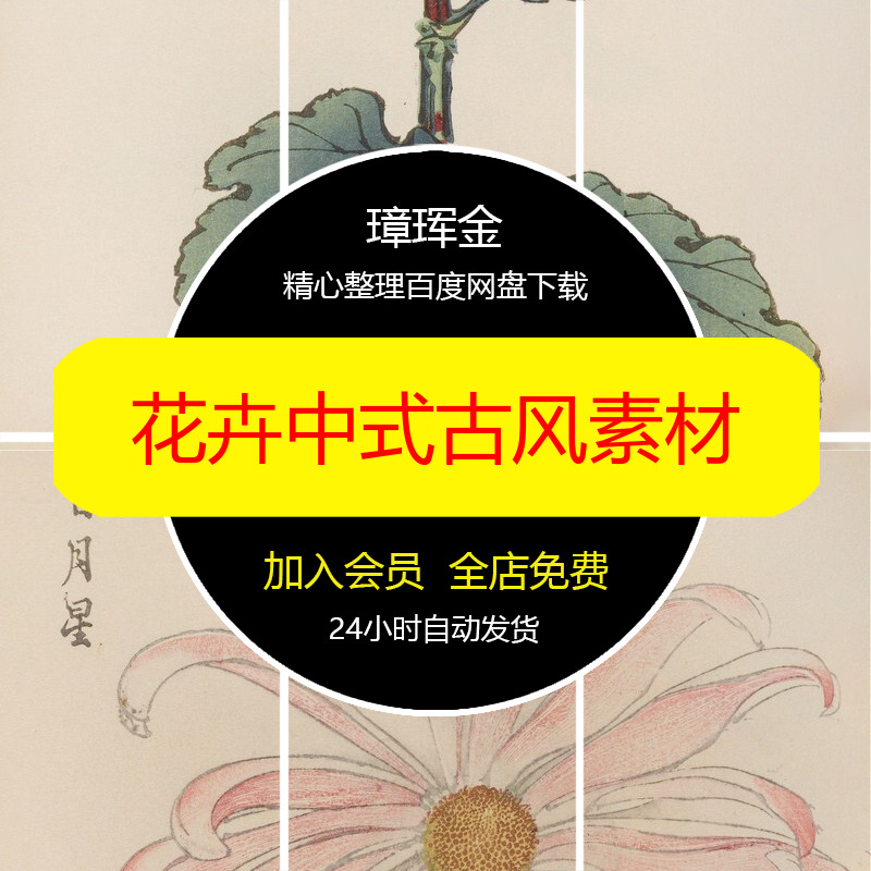 绘画设计菊花花卉植物手绘工笔画雏菊中式古风秋菊素材ui62