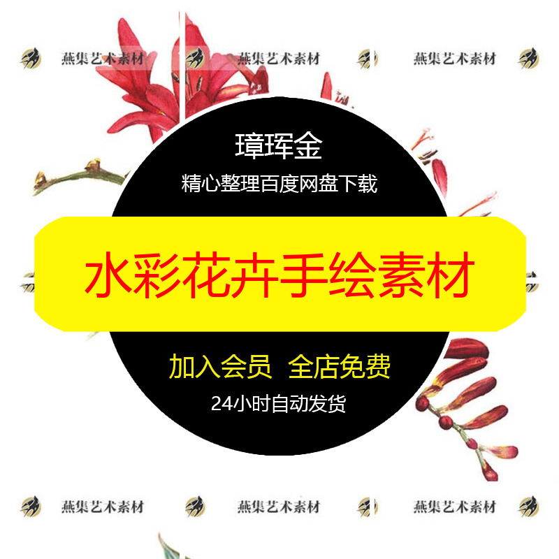 插画多肉电子水彩图片花卉植物教程线稿淡彩手绘素材hq76