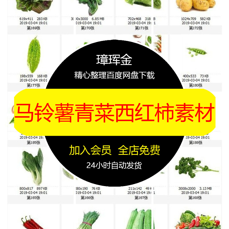 西红柿美工各种胡萝卜青菜蔬菜设计洋葱PNG白菜PS免抠素材aa76