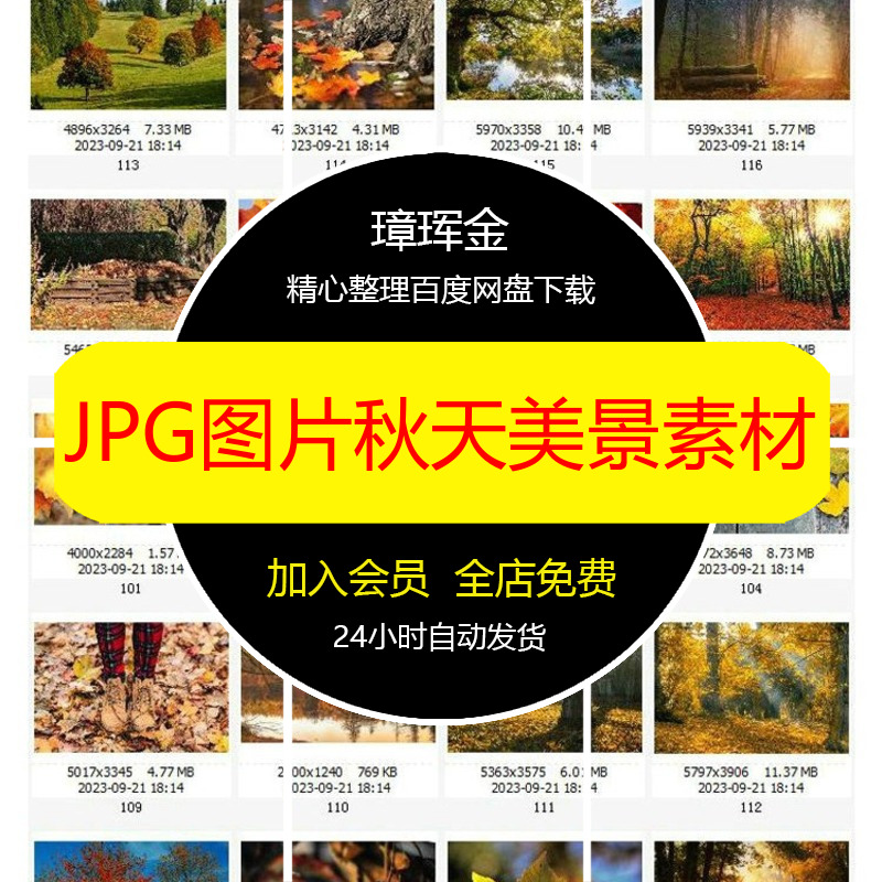 落叶美景秋天树林合成打印高清枯叶喷绘图片自然风景JPG素材yo04