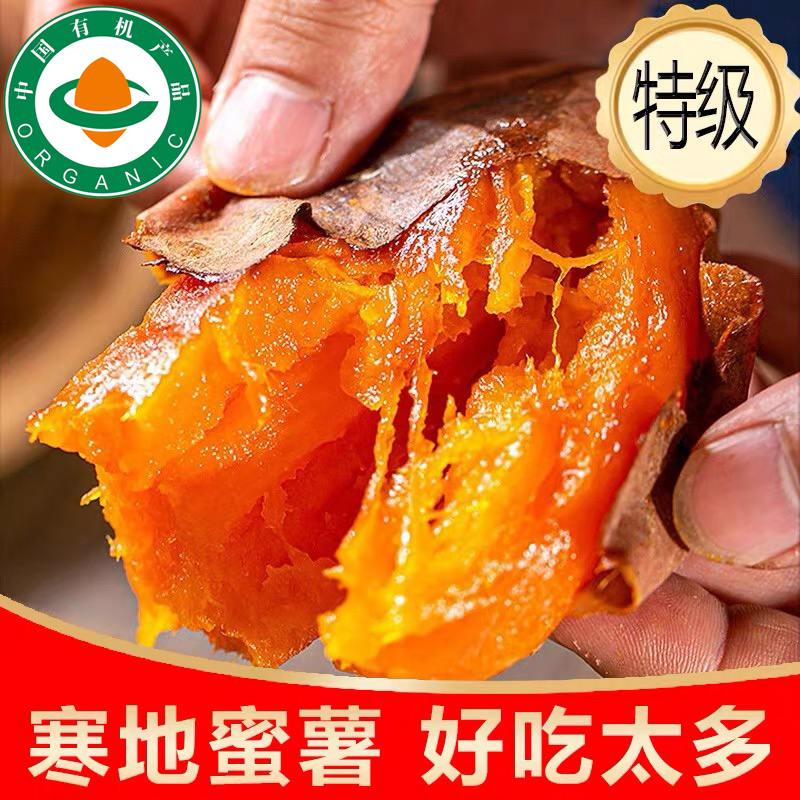 有机【2025新挖】特级东北烤红薯