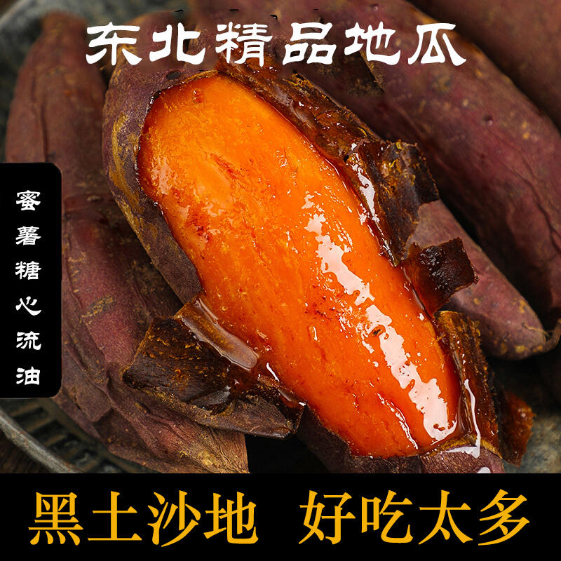 烟薯25特级新鲜六鳌超甜红薯