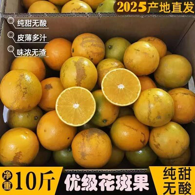 玉溪花斑橙缤品褚10斤新鲜甜橙