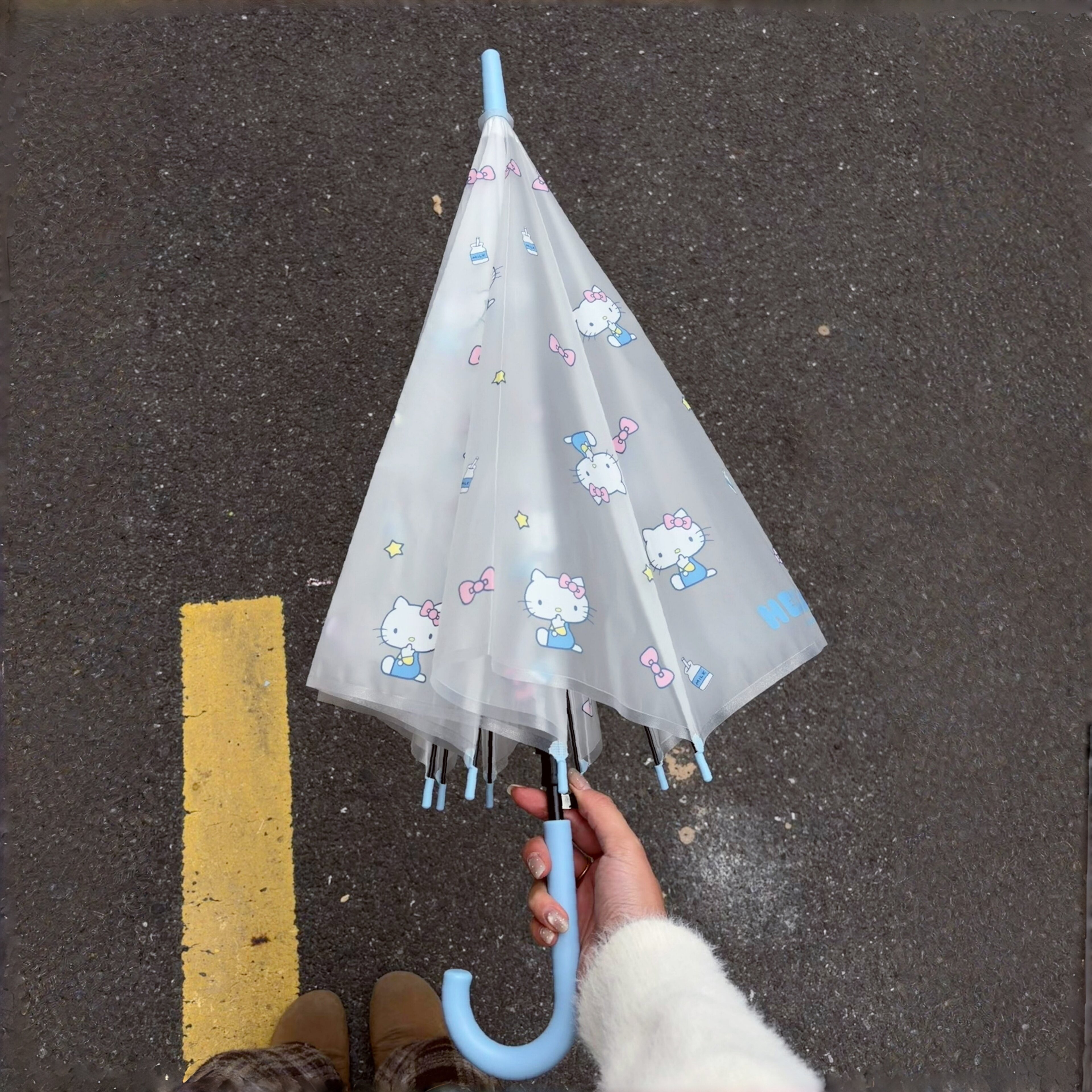 透明雨伞高颜值可爱猫咪卡通日系全自动长柄可爱加厚加固氛围感