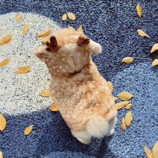 圣诞节狗狗衣服小型犬圣诞节装扮保暖麋鹿斗篷披风圣诞宠物服饰