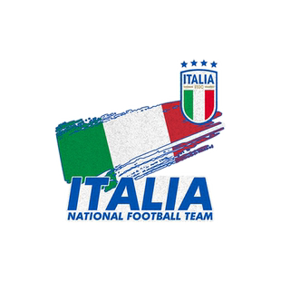意大利队欧洲杯足球迷反光电动摩托车汽车贴纸车身后玻璃贴