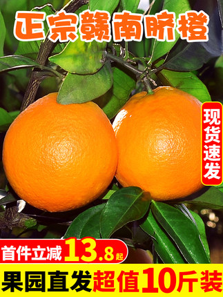 江西赣南脐橙新鲜橙子9斤应季大果水果手剥冰糖甜橙果冻橙赣州10