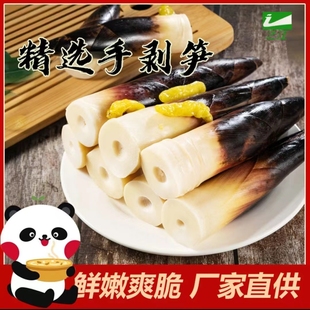 带微辣泡椒原味可选 之江网红手剥笋开袋即食500g 大本推荐