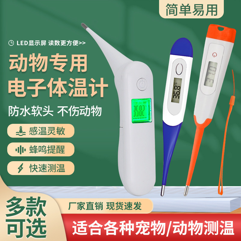 新型兽用电子体温计软头猪用猫狗宠物牛羊测温仪温度计养殖场