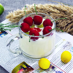 大容量奔马ins风玻璃杯子女带盖带把水杯茶杯咖啡奶昔早餐杯家用