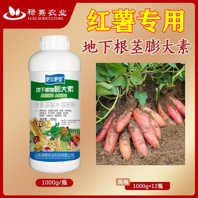 肥公肥婆地下根茎膨大素红薯专用块茎膨大剂土豆花生快速膨大增产