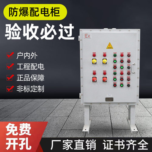 防爆配电柜电气柜控制柜仪表箱照明动力配电箱变频器柜检修箱PLC