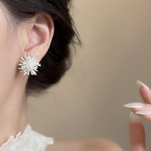 「璀璨烟花」轻奢复古耳环2025新爆款高级感独特耳夹女无耳洞耳饰