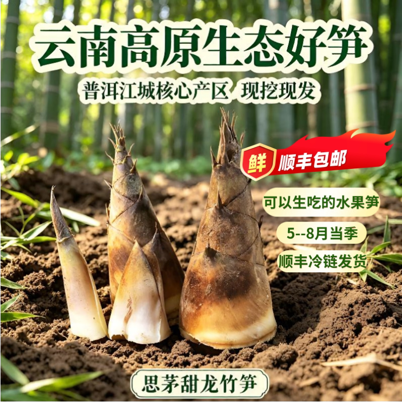 云南普洱甜龙竹笋现挖可生吃