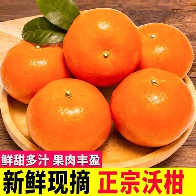 云南沃柑高原沃柑新鲜水果整箱