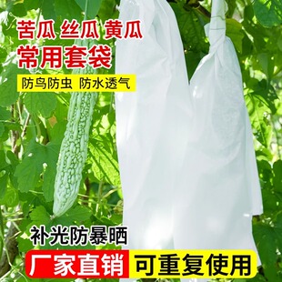 无纺布苦瓜适用套袋丝瓜黄瓜青瓜羊角蜜防虫袋保护袋防蜂果蝇套袋