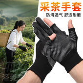 摘茶叶防晒女士快递员分拣打包搬货干活防滑农用采茶专用手套神器