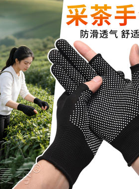 摘茶叶防晒女士快递员分拣搬货