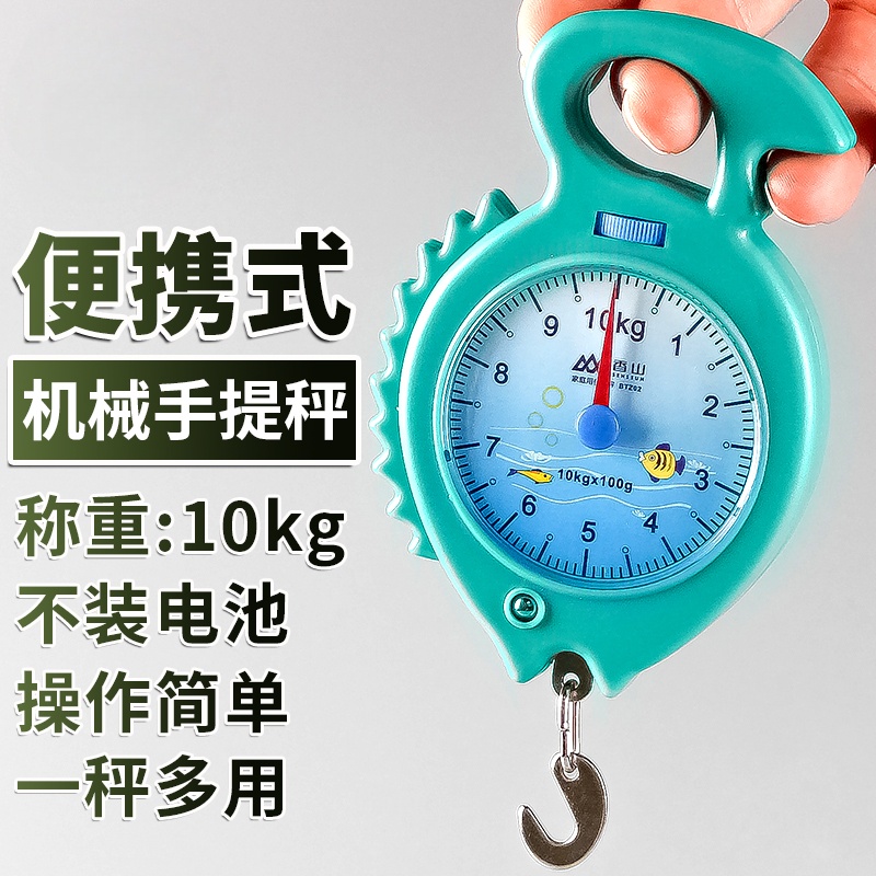 精准手提秤弹簧秤小型家用便携