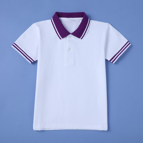 中小学生夏季短袖紫领POLO衫