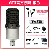 Официальный стандарт GT3 - серебро