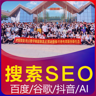 网站seo优化百度谷歌排名关键词抖音搜索引擎上首页收录快照百科