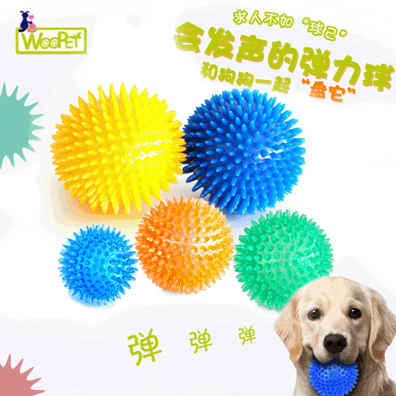 柯基解闷金毛幼犬弹力宠物狗狗