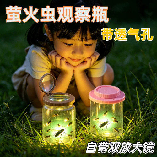 萤火虫观察瓶生态瓶昆虫