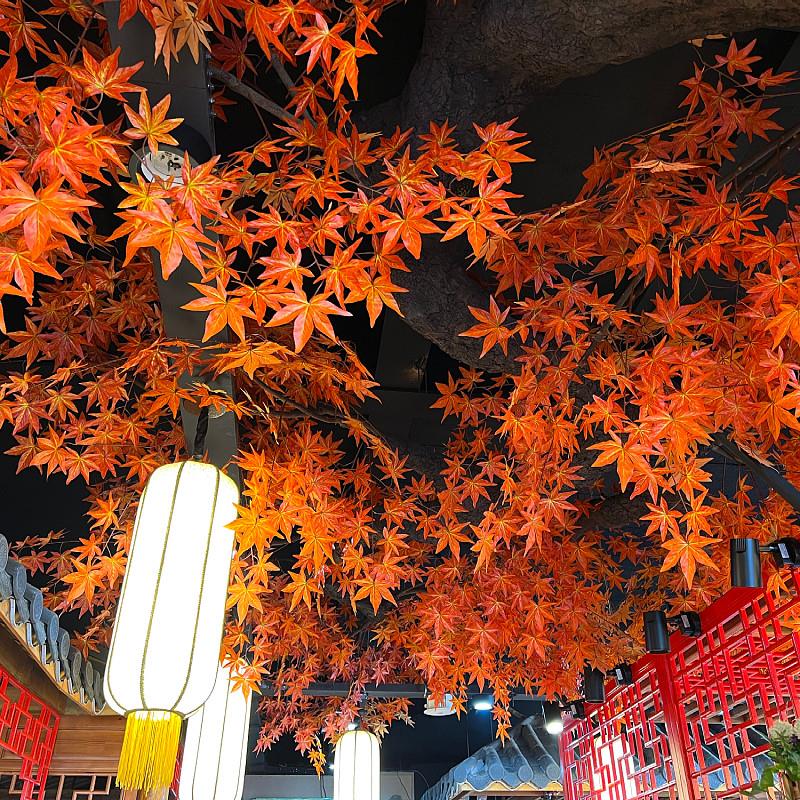 饭店火锅奶茶店铺橱窗吊顶装饰仿真花假花假树红枫树枝树叶绿枫