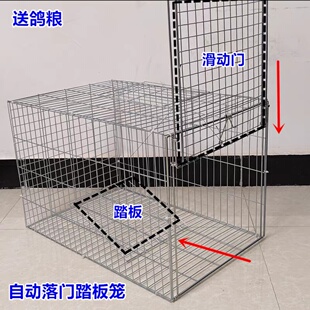 踏板笼自动滑动门鸽子笼家用机关收纳笼户外养殖笼新型天落笼滑落