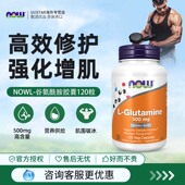 now左旋谷氨酰胺胶囊L Glutamine双倍强度1000mg肌肉恢复肠漏修复