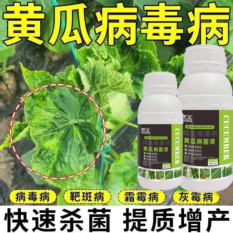 黄瓜病菌清卫士复合微生物杀菌剂一喷药旱蔬毒霜霉专用效叶面肥料