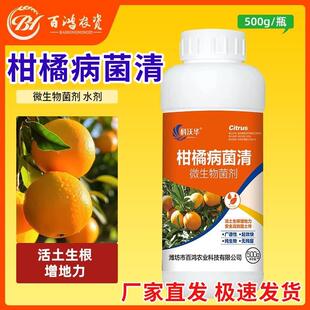 科沃华柑橘病菌清桔子沙皮黄化龙溃疡卷叶炭疽病修复专用药杀菌剂