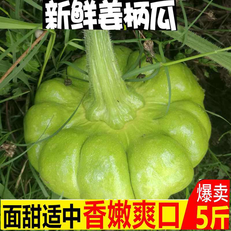 云南北瓜南瓜板栗味小南瓜新鲜婴当季 姜柄瓜 丝瓜种饼子