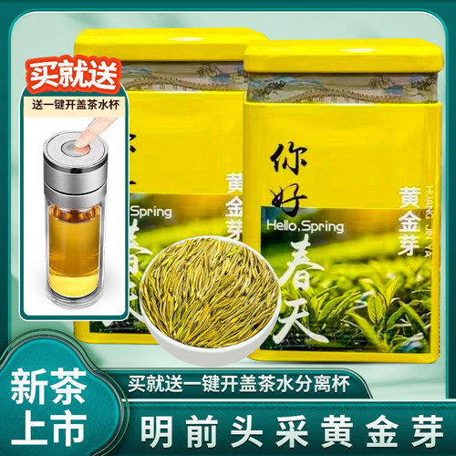 珍稀白茶黄金芽茶叶2025年新茶明前高山春茶黄金叶绿茶叶罐装送礼