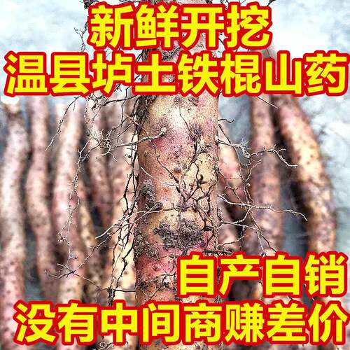 河南焦作温县垆土铁棍铁杆怀山药淮山正宗新鲜5斤准铁棒特级整箱