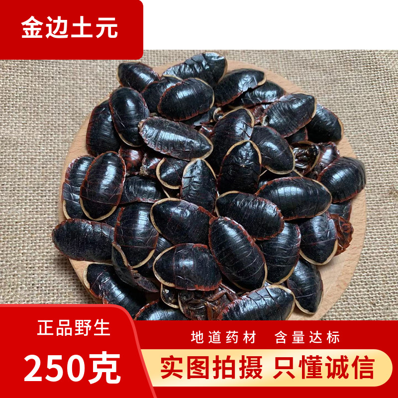 金边土元中药材土鳖虫土别土元地乌龟金边土元地鳖粉土元粉金边虫,传统滋补营养品,其他药食同源食品,淘宝优惠券,粉丝福利购,淘宝优惠卷