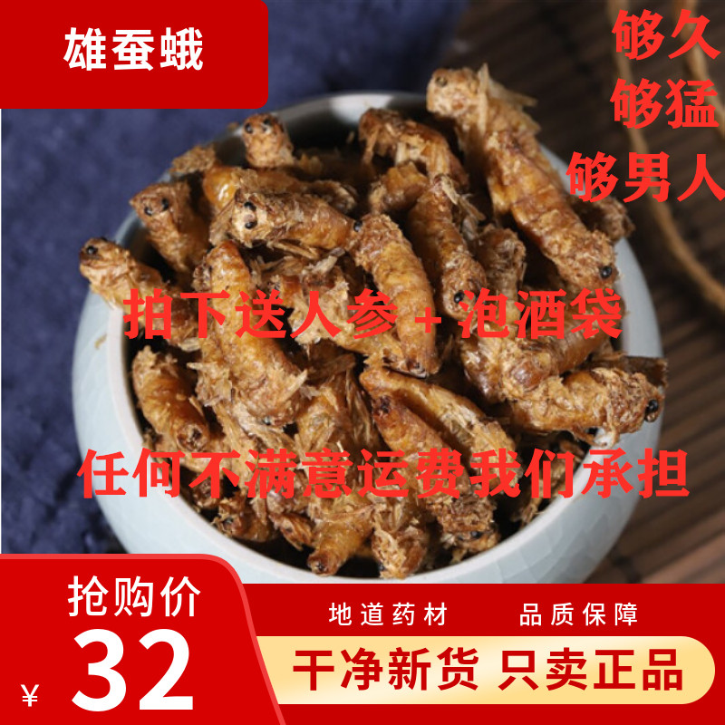 雄蚕蛾中药材未交尾纯公蝉俄晚娥魏蚕峨可泡酒男性养生可免费磨粉