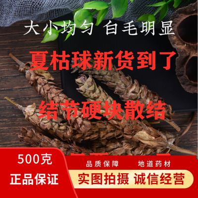 夏枯草散结中药材