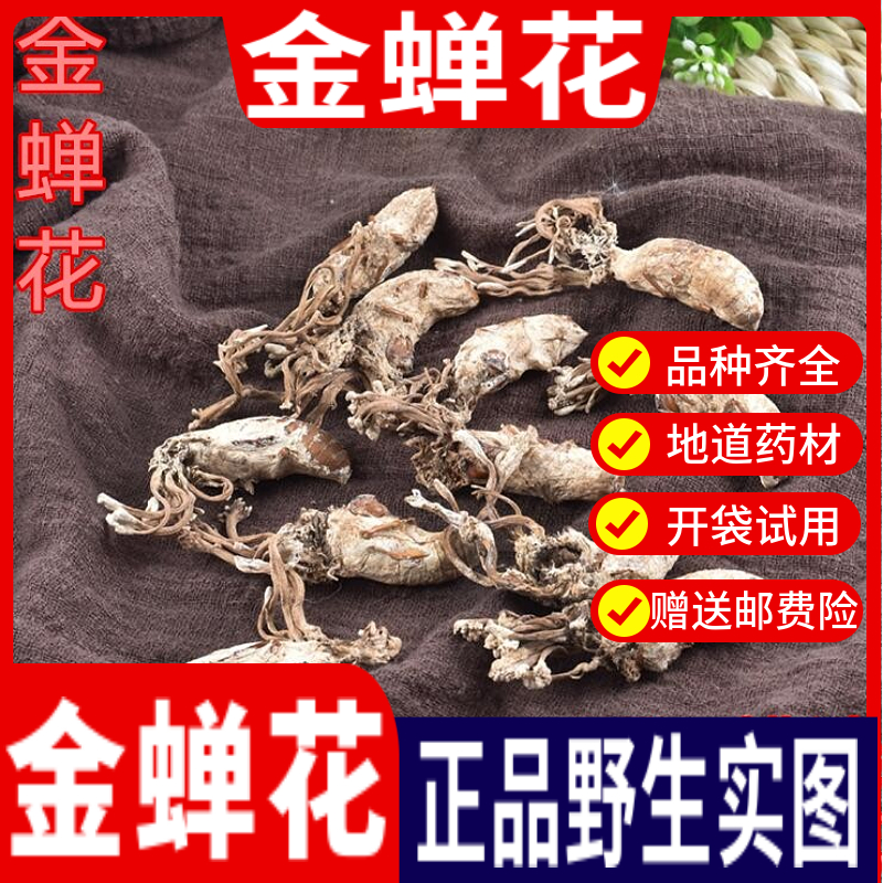 金蝉花野生中药材500g金蝉花虫草孢子粉金婵金蚕花知了花正品批发