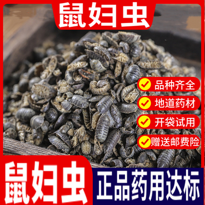 特级鼠妇虫中药材50g潮虫食用新货地虱鼠负鼠姑湿生虫团子虫散装