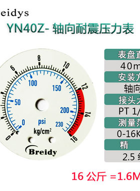 YNBF40Z轴向不锈钢压力表无铜无锌气动压力表液压0-10KG一分牙1/8