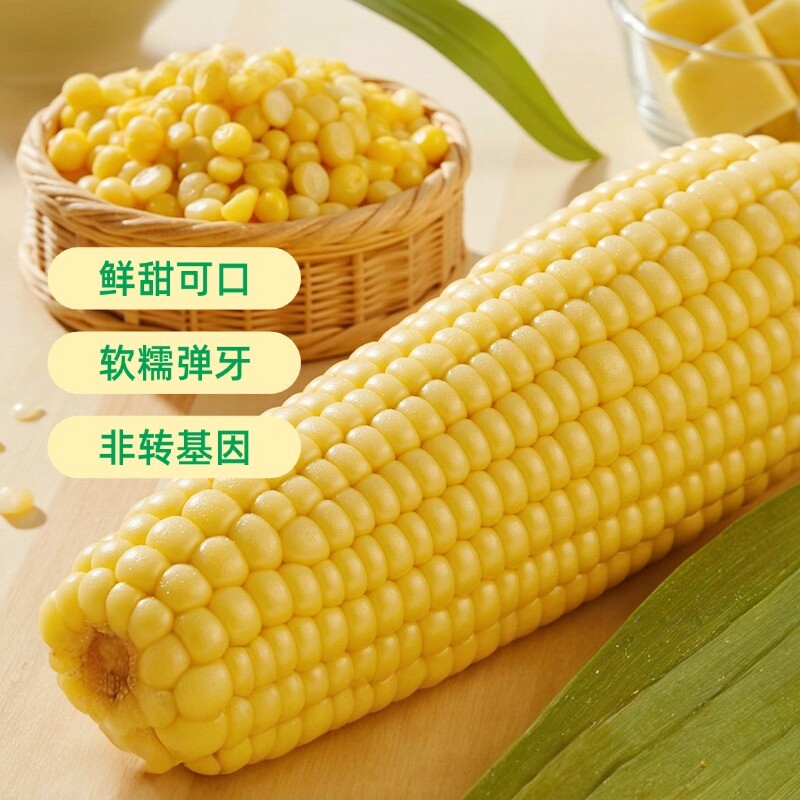 新鲜制作贵州糯玉米真空包装熟食甜糯黏玉米白包谷棒子黏糯香甜