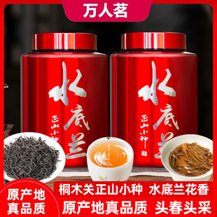 水底兰正山小种红茶武夷山特级正宗桐木关茶叶礼盒散装官方旗舰店