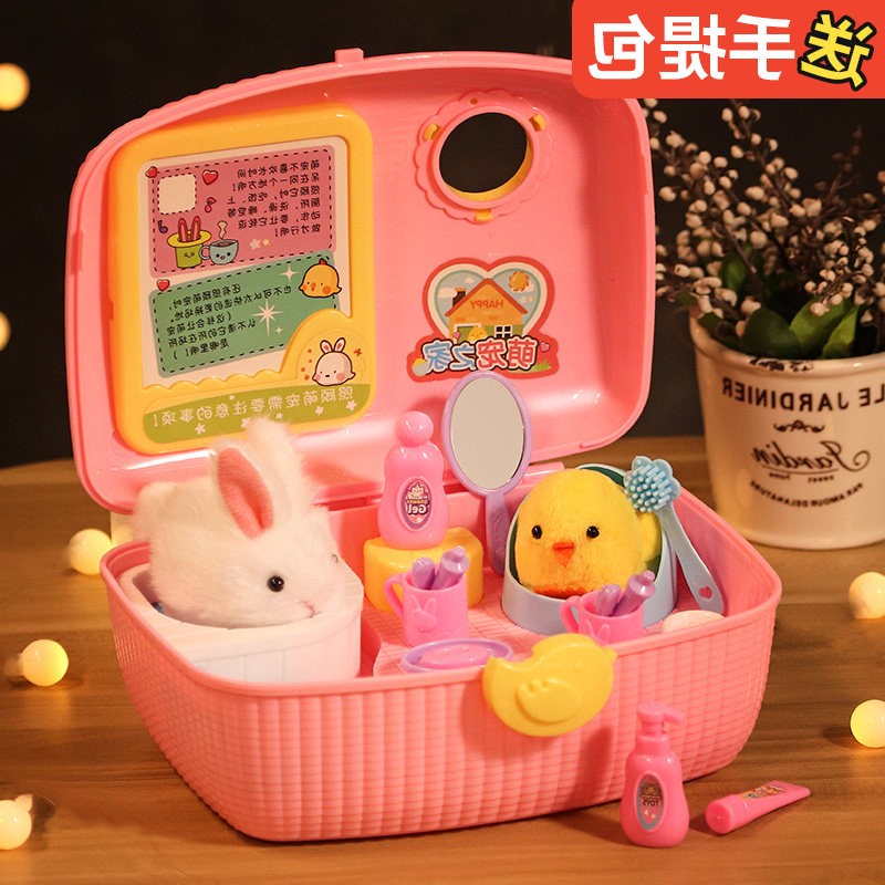 快乐小鸡养成屋真宠物黄玩