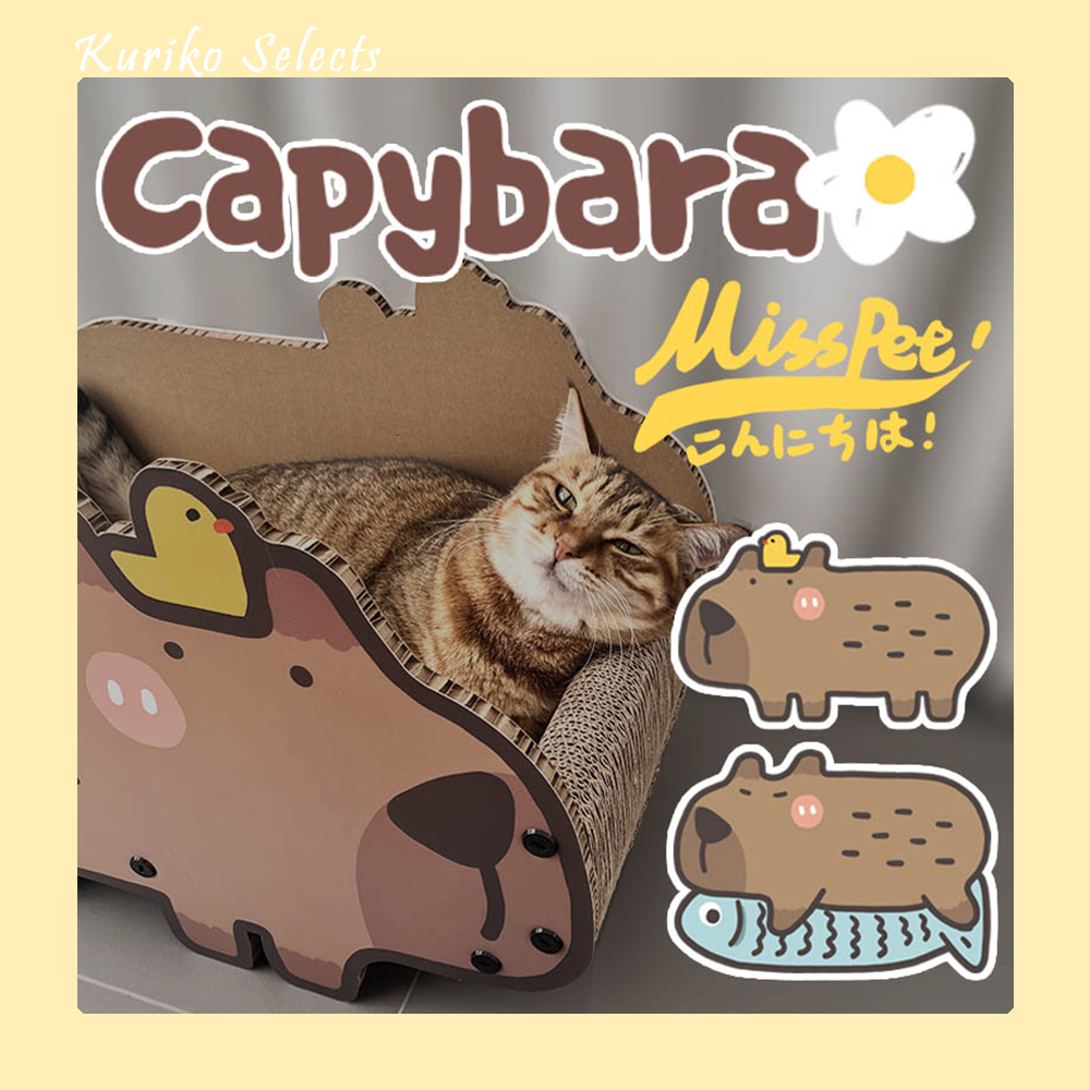 MISSPET卡皮巴拉猫抓板玩具