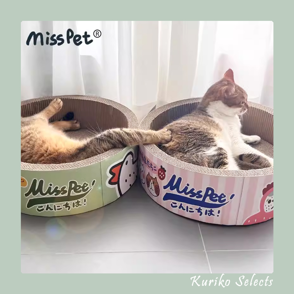 Misspet碗型纸盒猫窝不掉屑